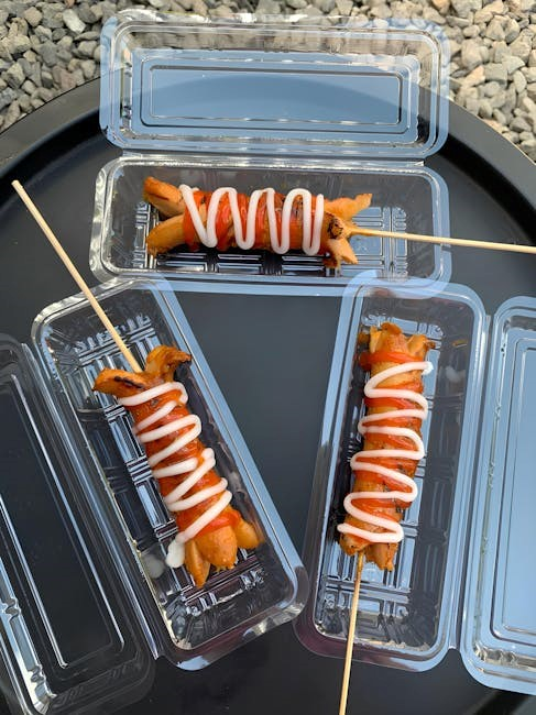 carel easy manual pdf